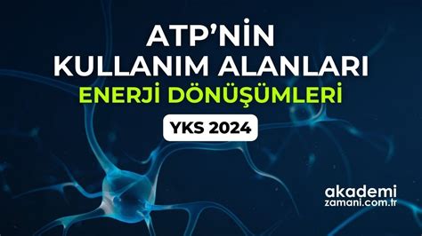 ATP nin Kullanım Alanları ve Enerji Dönüşümleri TYT Biyoloji