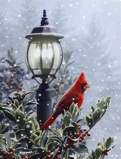 Light Up Snow And Lamp Post Cardinal Winter Holiday Canvas