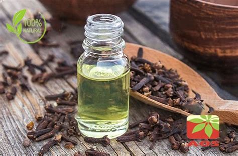 As an antimicrobial, to help kill bacteria. Clove Oil - Uses, Benefits and Properties of Pure Clove Oil