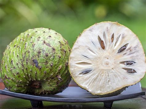Soursop Does It Help Fight Cancer