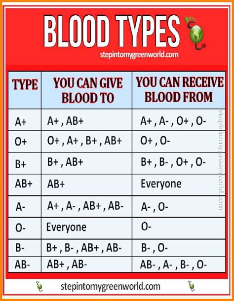 What Is A Blood Type Chart Free Sample Example And Format Templates