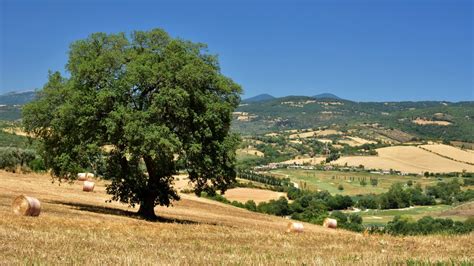 Cosa Vedere Nella Maremma Toscana 5 Luoghi Da Scoprire 2022