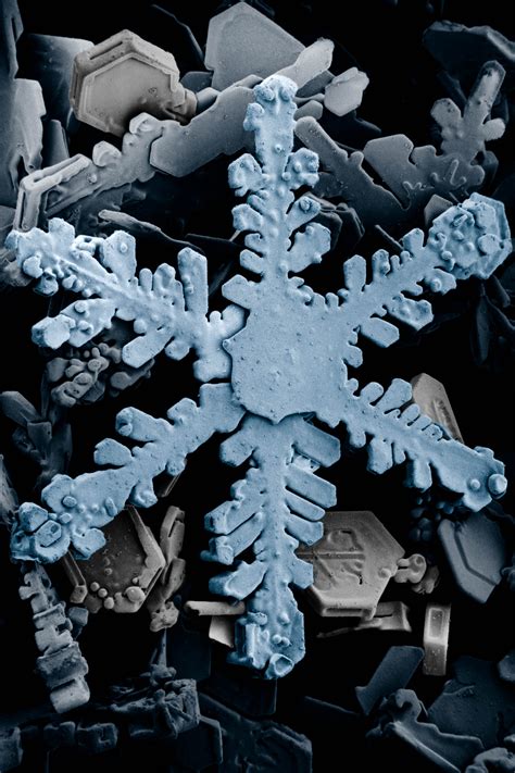 Free Images Ice Crystal Crystals Snow