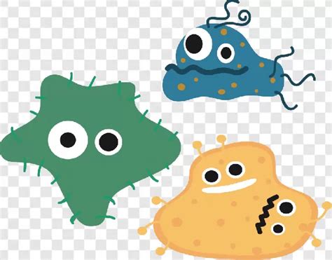 Bacteria Downloads Png Transparent Background Free Download Png Images
