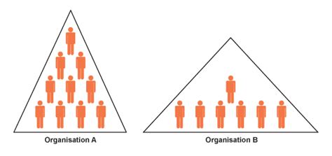 Organizational Structure Flat And Tall Structure Schoolworkhelper