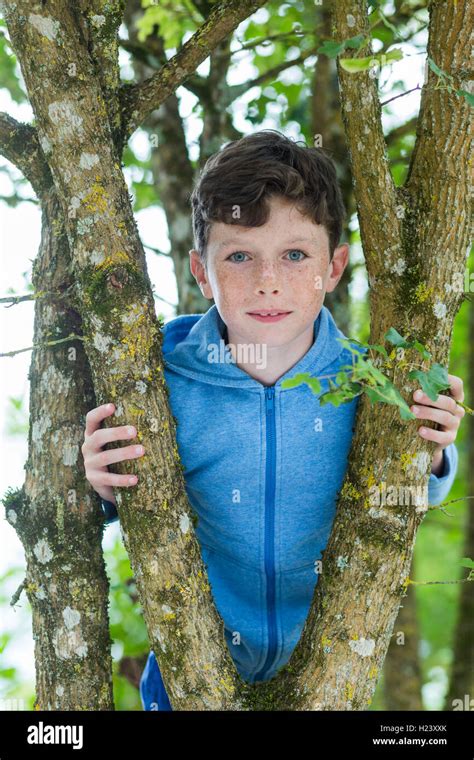Brown Haired Blue Eyed Boy Smiling Hi Res Stock Photography And Images