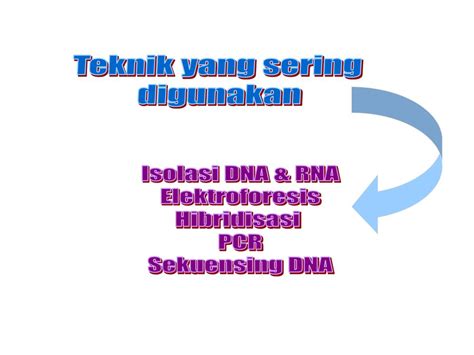 Ppt Biologi Molekuler Powerpoint Presentation Free Download Id 6156861