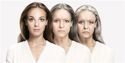 The Science Behind Aging Science Times