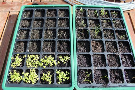 Log in or sign up in seconds.| Whats been happening on the farm. | A simple living journey