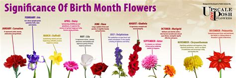 The Significance Of Birth Month Flowers A Calendar Of