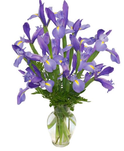 Fleur De Lis Iris Vase In Livermore Ca Knodts Flowers