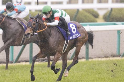 Переглядів 2,4 тис.7 днів тому. 【競馬予想】2021宝塚記念の攻略ポイント!過去の傾向や特徴を ...