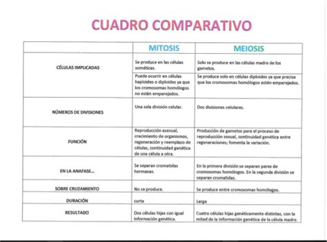 Cuadros Comparativos División Celular Mitosis Y Meiosis Cuadro