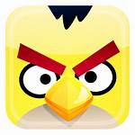 Angry Bird Yellow Icon Clipart Birds Clip