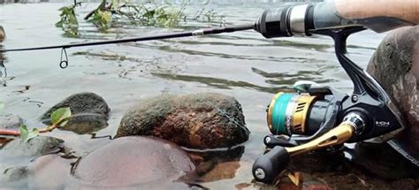 How to Rig a Fishing Pole for Trout: The Complete Guide - LureMeFish