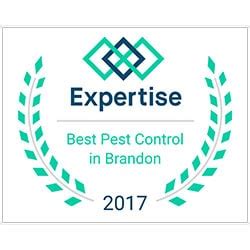 Hire the best pest control services in brandon, fl on homeadvisor. Pest Control Services #1 in Tampa, FL - Request A Free Quote
