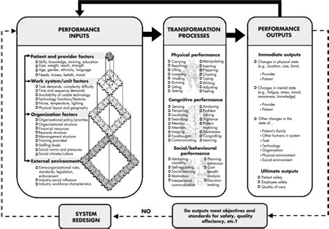 Input Transformation Output Model Of Healthcare Professional