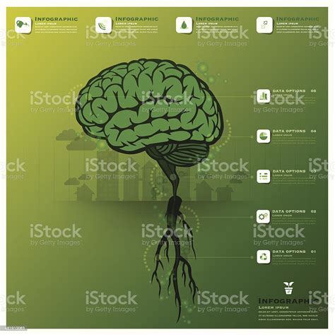 Brain Tree And Root Infographic Science Background Stock Illustration