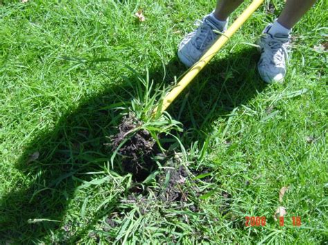 Crabgrass Control Removal Killer Crab Grass Weed Twister Remover Vs