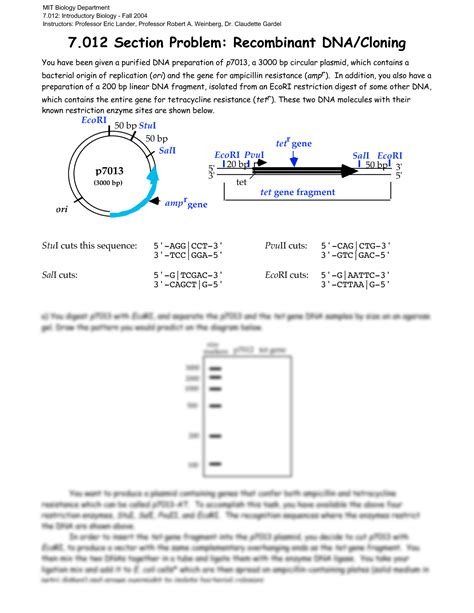 Solution Introductory Biology 7 012 Section Problem Recombinant Dna