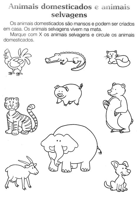 Rare Animals, Zoo Animals, Animals For Kids, Animals And Pets, Animal