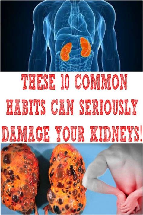 Can Protein Damage Your Kidneys