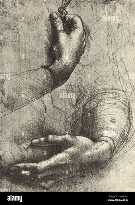 Drawn By Leonardo Da Vinci High Resolution Stock Photography And Images