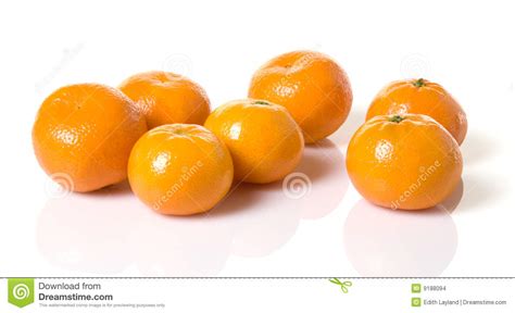 Mandarin Oranges Stock Photo Image Of Mandarin Horizontal 9188094