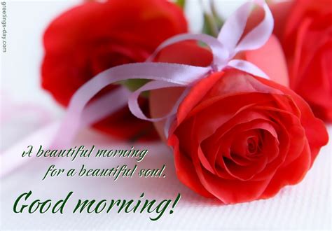 Flower friend beautiful good morning. Good Morning Beautiful - Daily Ecards & Pictures.