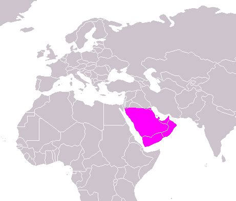 The arabian peninsula, arabia, arabistan, and the arabian subcontinent is a peninsula in southwest asia at the junction of africa and asia. An American Youth's Perspective: On the Topic of: Islam