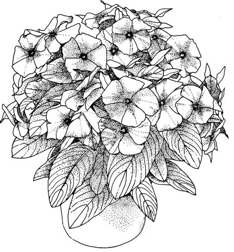 Flower Coloring Pages For Adults Best Coloring Pages For