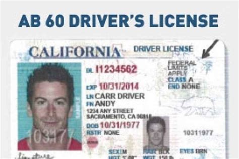 Can An Illegal Immigrant Obtain A Drivers License In Georgia