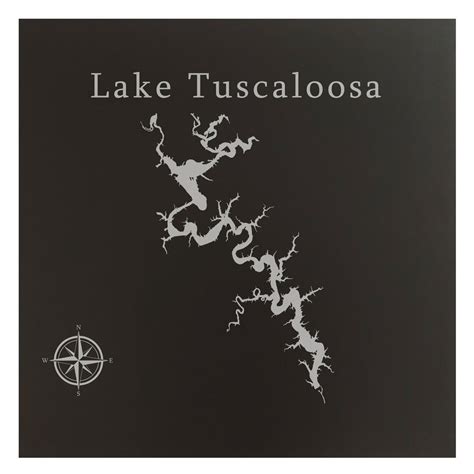 Lake Tuscaloosa Map 12x12 Black Metal Wall Art Office Decor T