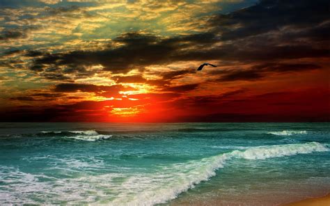 Sunset Beach Skyscapes Sea Nature Beaches Hd Desktop