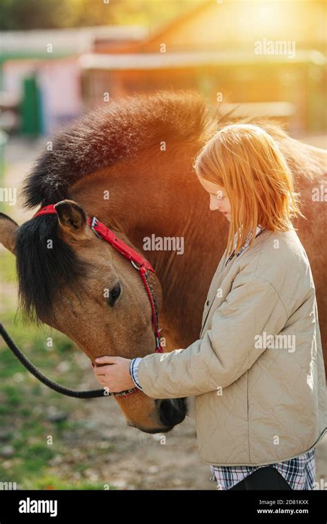 Little Girl Petting Horse Hi Res Stock Photography And Images Alamy