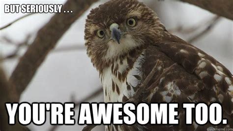 Seriously Youre Awesome Too Youre Awesome Awesome Memes