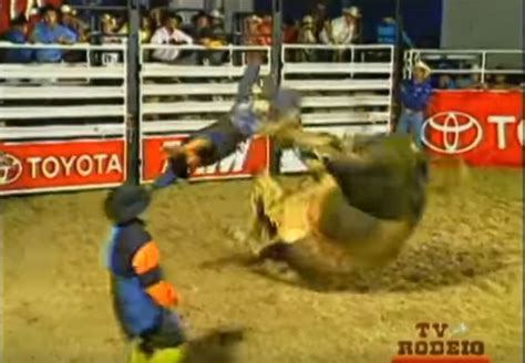 The Bandit Is A Brazilian Bull That No One Has Been Able To Ride Successfully