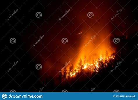 Mountain Forest Wildfire At Night Stock Image Image Of Fire Mountain