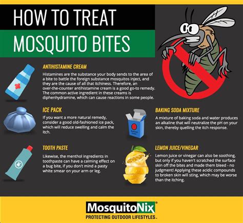 What You Need To Know About Mosquito Prevention Mosquitonix®