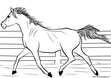 arab horse coloring pages printable