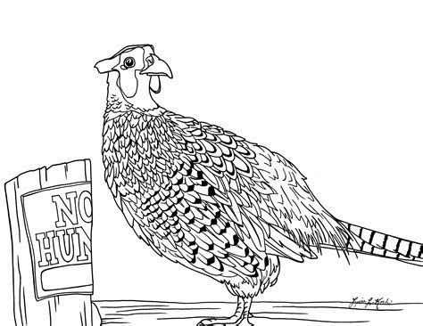 Pheasant Drawing at GetDrawings | Free download