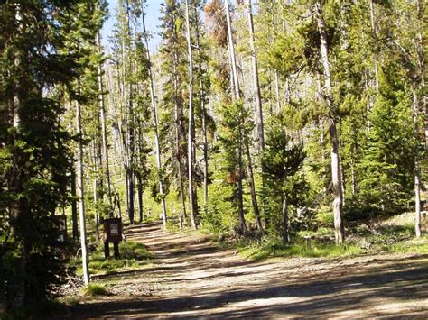 Boise National Forest Gates Creek Trail