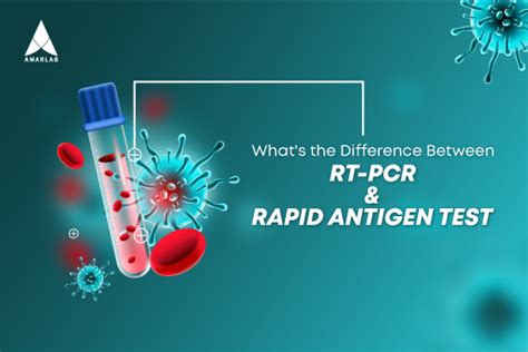 Difference Between Rt Pcr And Rapid Antigen Test Amarlab Blog