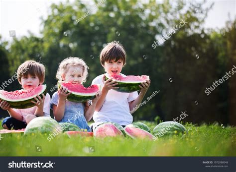 Kids Watermelons On Green Grass Funny Stock Photo 1072088048 Shutterstock
