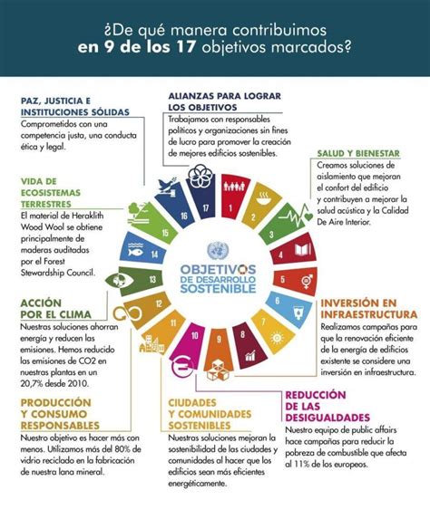 Mapa conceptual de desarrollo sustentable Guía paso a paso