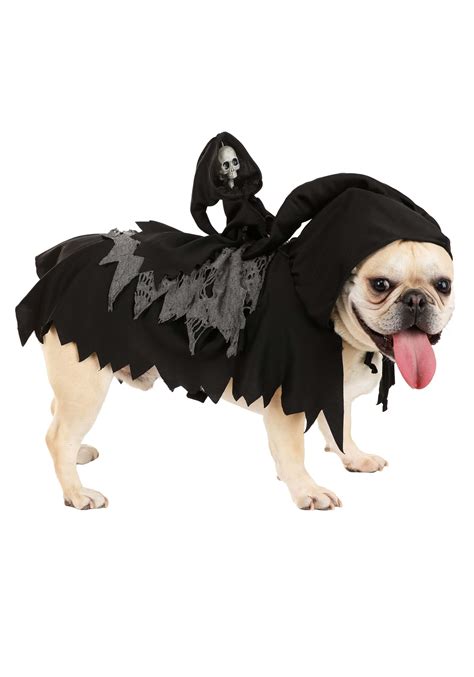 Best Grim Reaper Costumes For 2023 Canny Costumes