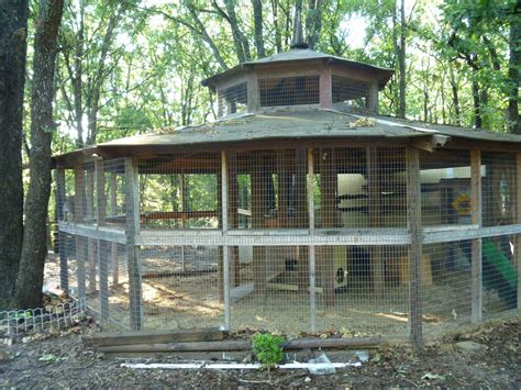 Large Outside Cat Enclosure | Images and Photos finder