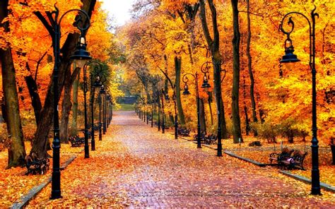10 Best High Definition Autumn Wallpaper Full Hd 1080p For