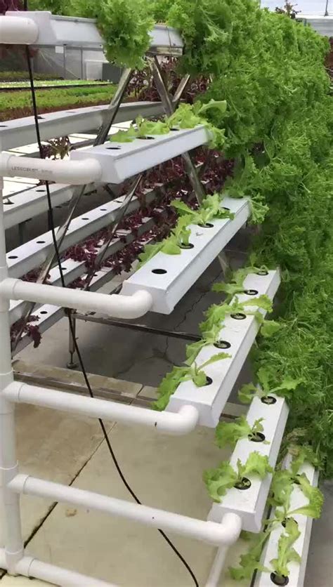 That may require opening an account with a particular marketplace if you don't already have one. A-type Vertical Hydroponic Nft Channel Growing System ...