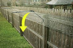 Enter this roll bar fence diy & my dad to the rescue. Cat deterrent | Enclos chat, Cabane chat, Chien